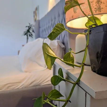 Casa Branca Secluded Modern * Friumes